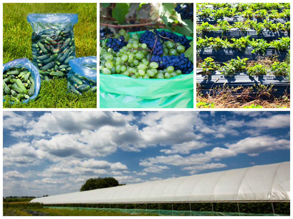 Polyethylene film for agriculture, polyethylene film for constructions, polyethylene film for mulch,...